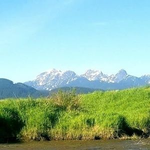 Meet your Posher, Marcia